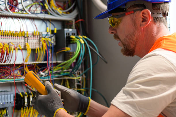 Best Electrical Rewiring Services  in Roosevelt Park, MI